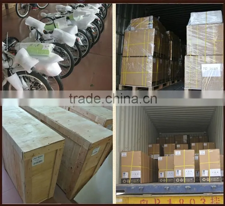 e road electric bike,low price electric bike,electric bike en15194