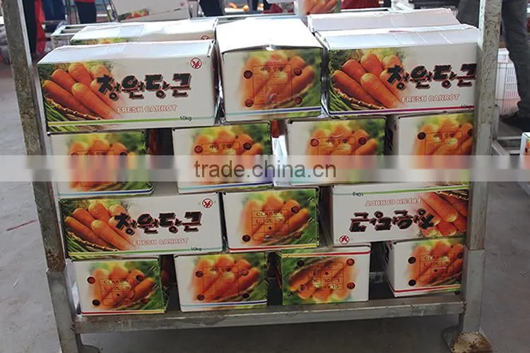 carrots agricultural crops of China