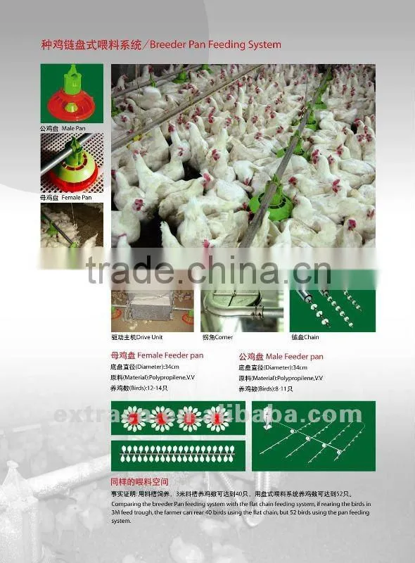 Full automatic poultry equipment for breeder chicken