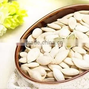 Snow White Pumpkin Seeds , Pumpkin Seeds in Shell