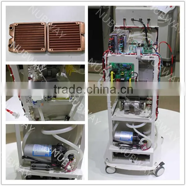 2015 Hot! 2 Freeze Cryotherapy Handles Machine/ Cryo Fat Freezing Machine