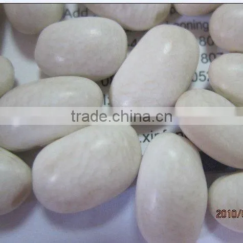 China white Kidney beans/medium 2010