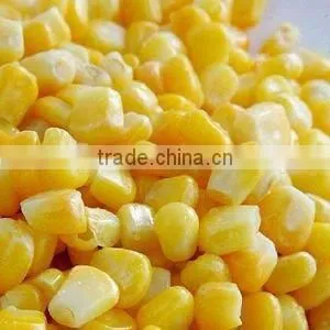 frozen sweet corn cob half cut