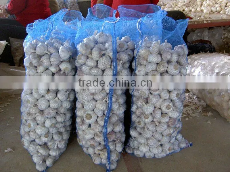 white garlic in mesh bags