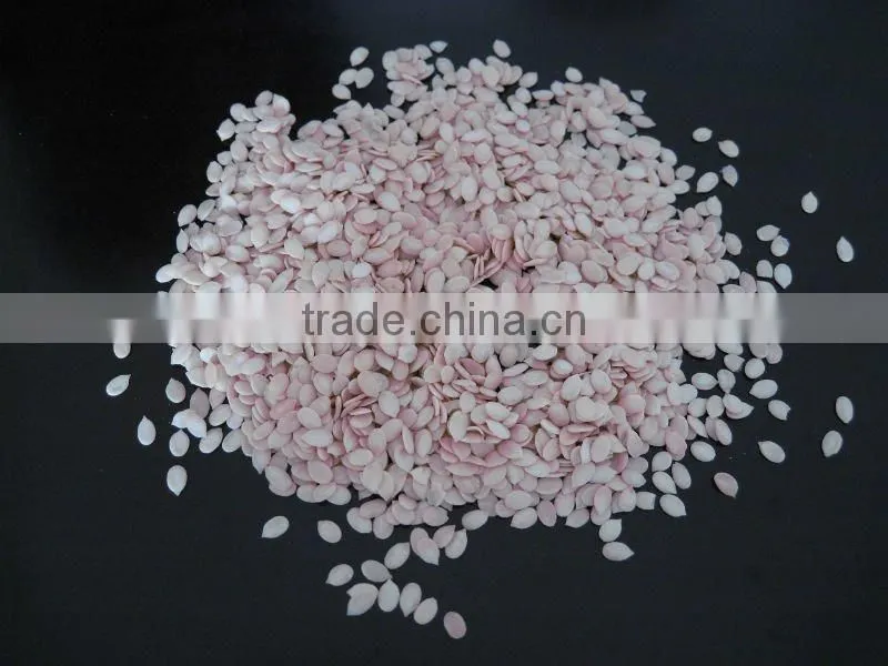 Chinese Watermelon Kernels New Crop