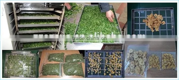 Industiral Hot Air Circulation Vegetable and Fruit Drying Equipment/Ginger Drying Machine