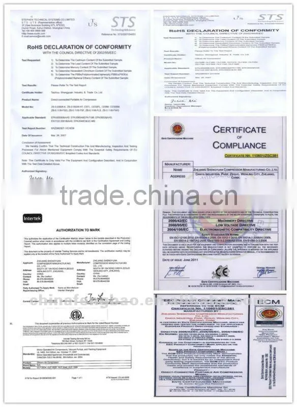 4hp 2 Cylinder Italy Air Compressor Pump Made in Zhejiang