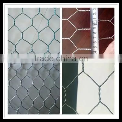 Hot sales twist hexagonal wire meshes