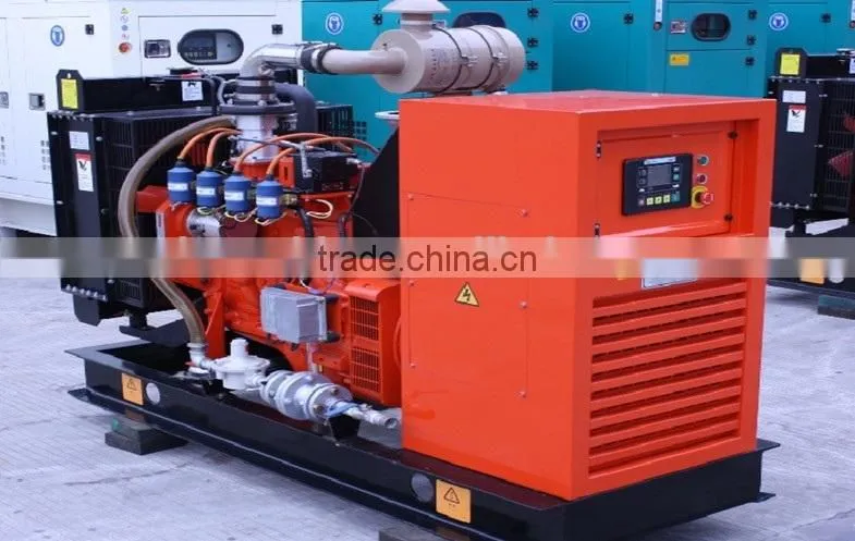 Brand New AVR Brushless Excited 3P4W Generator 100KW - Small Natural Gas Generator 100KW