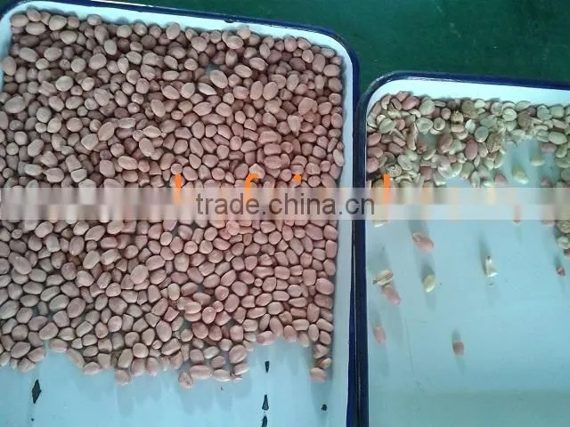 Peanut ccolor sorter machine, ccd sorting machine by Mingder