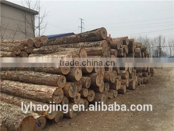 peeling machine with cutting in plywood factory