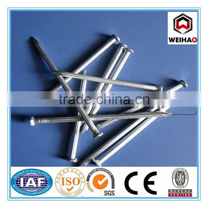 Good quality manufacture in China concrete kg nails 1 inch 2 inch