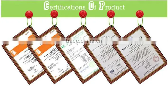 Quality Tomato Paste Manufacturer