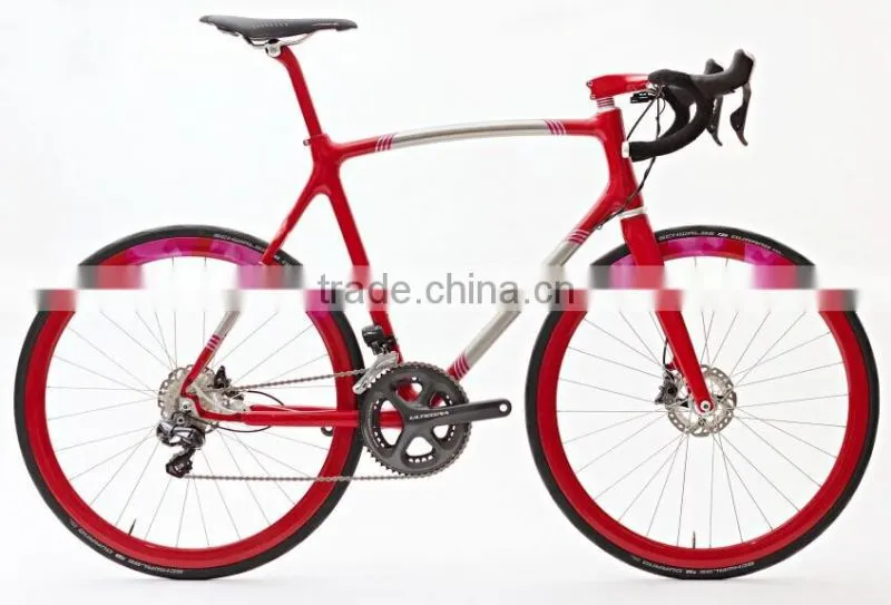 Belt drive bike B-2 Stealth and Strategic Bomber