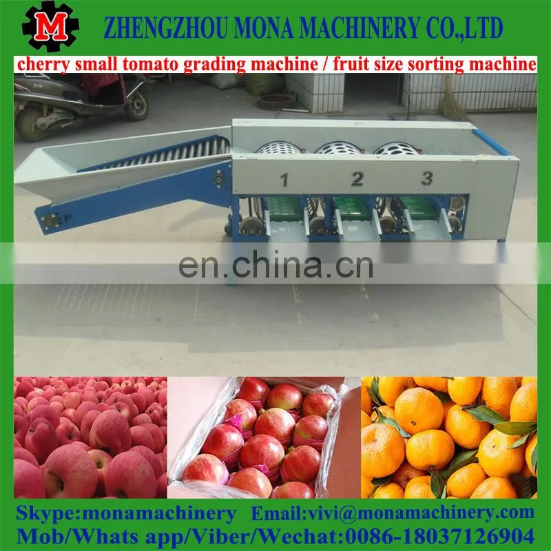 size fruit sorting machine by fruit diameter / small size high speed fruit grading machine