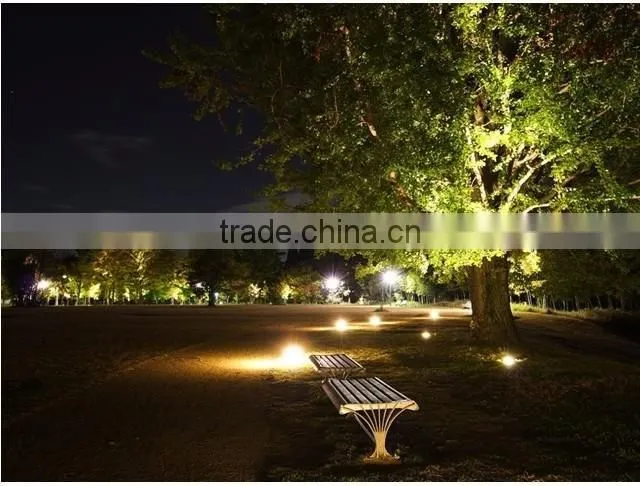 Professional LED focus projection light swimming pool LED light