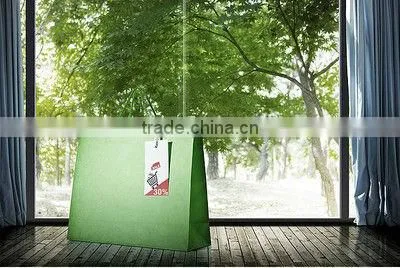 Packaging Paper reusable bags