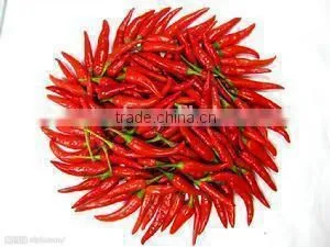 Chilli Dehydrated Powder and Chilli Dehydrated machine with factory price