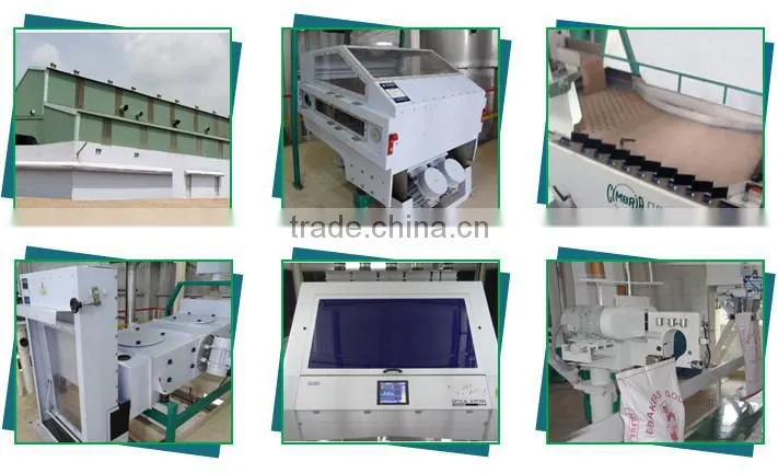 Factory Manufactured Hulled Sesame Seeds from Top Manufacturer