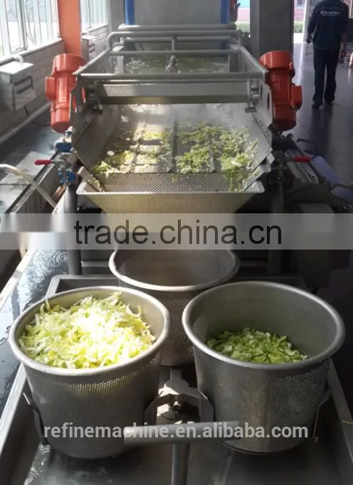 stainless steel vegetable washing machine/vegetable processing machine/vegetable cutting machine from Colead