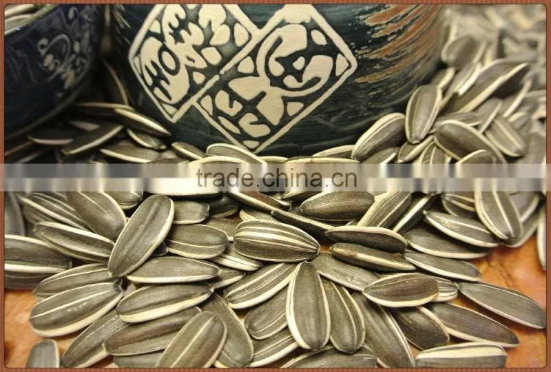 Chinese Cheap Sunflower Seeds For Sale