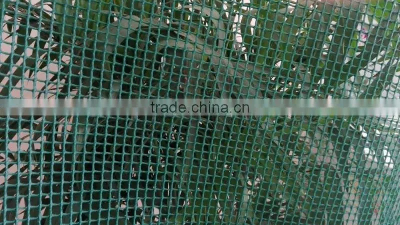 HDPE extruded Plastic Net/plastic mesh
