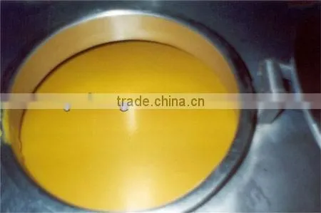 Mango pineapple processing line