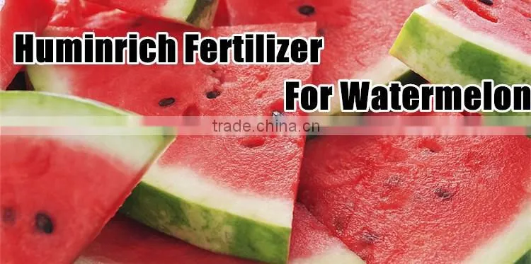 FAQ 35--What Benefit Does Huminrich Organic Fertilizer Apply To Watermelon?
