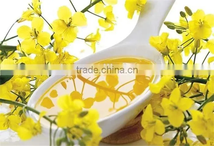 wholesale prices export crude rapeseed oil