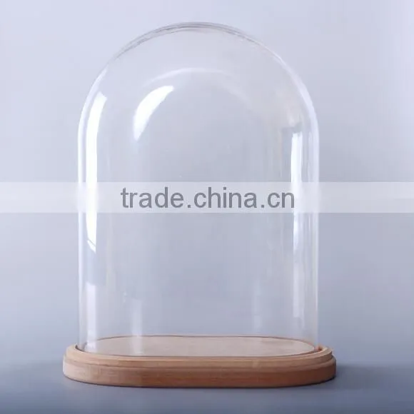 Clear glass oval dome with base