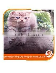 Comfortable 100% polyester textile fabric for home textile