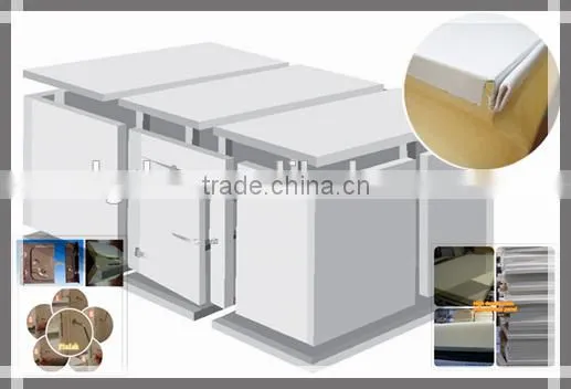 new technology cool room / cold room / freezer room