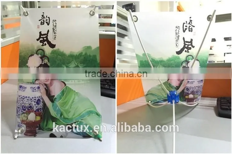 Latex Printing Frosted Translucent PET Film Roll