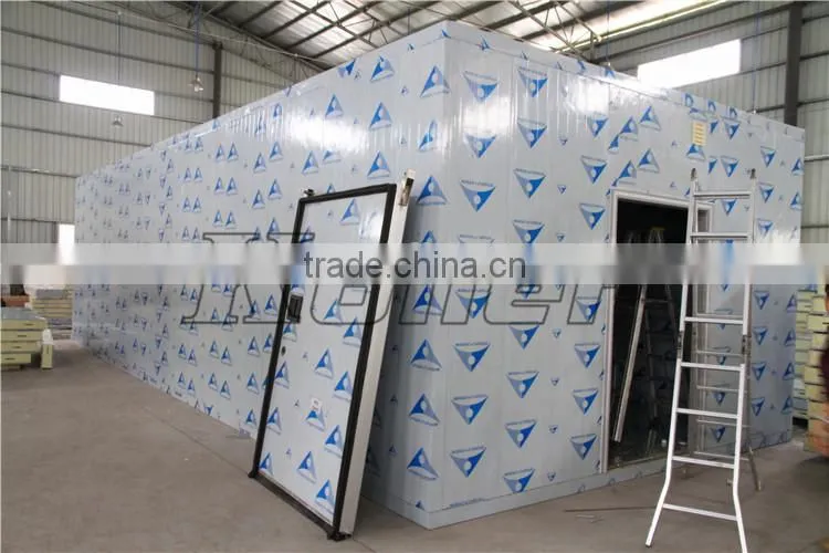 Koller cold storage room freezer for Meats/ fishes/ ice block/ fresh flowers