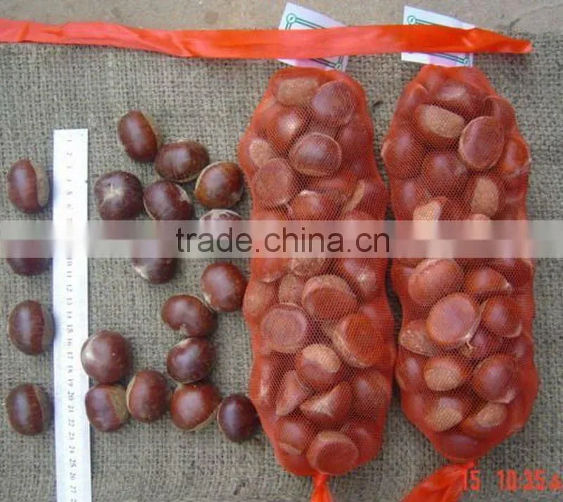 frozen chestnut diced 2014