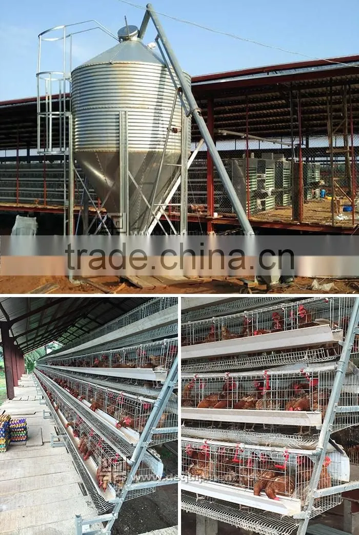 a type automatic battery chicken layer poultry cages for nigeria/africa