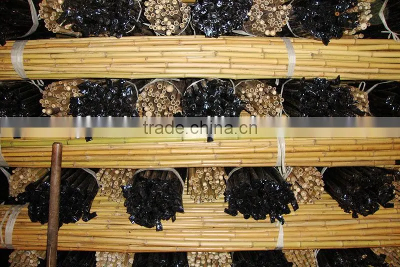 coated plastic bamboo poles