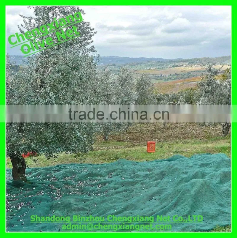 Chengxiang Factory Supply UV stabilized Olive Net