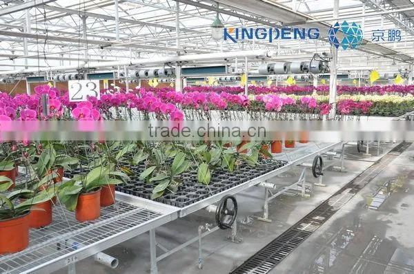 Polycarbonate Greenhouse