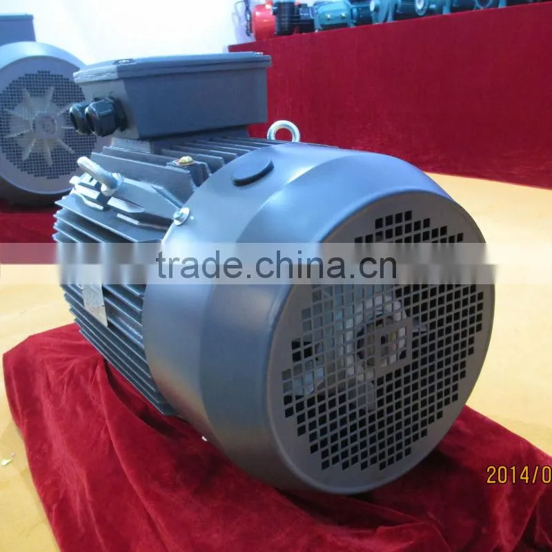 IE3 Standard High Efficiency Cast Iron Three Phase Electric Motor T3C 160L 2