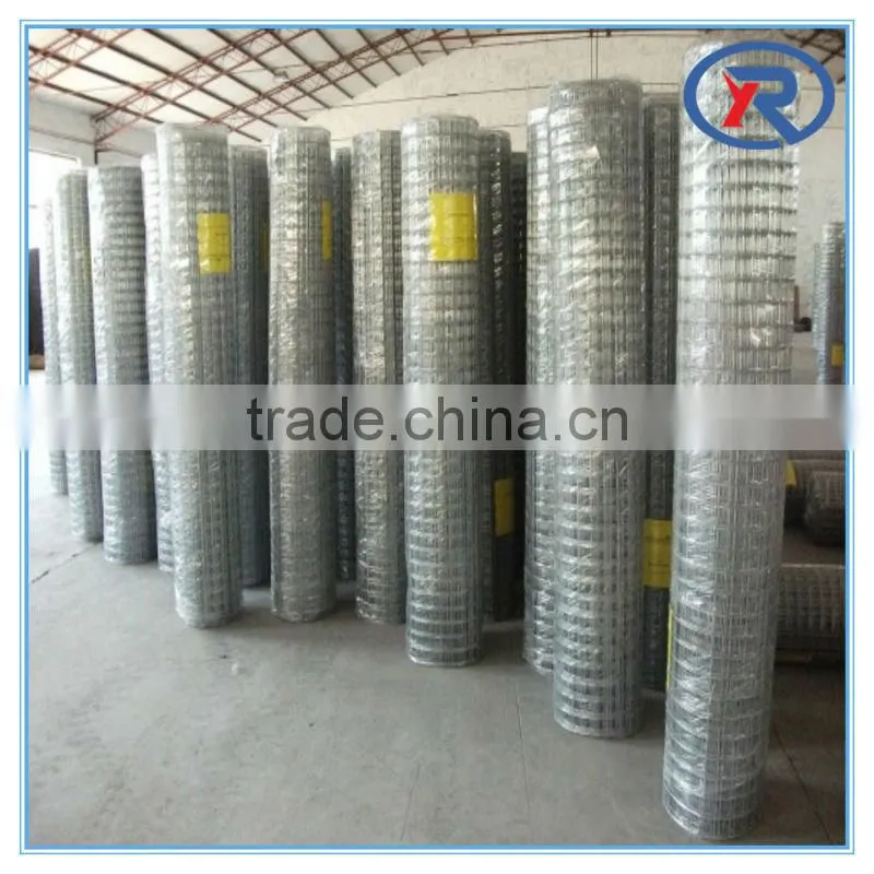 best selling products Welded mesh for made in china/galvanized welded iron wire mesh/galvanized after welding cloth