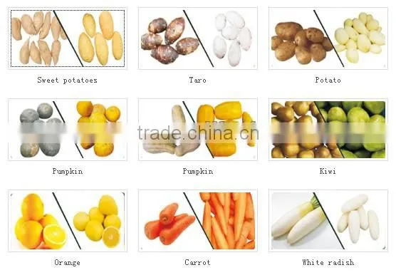 Potato Washing Peeling Prodcution Line Processing Line