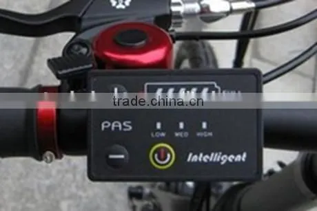 20" tire Lithium battery electric bike/250W cheap electric bike for sale (TK-EB202)