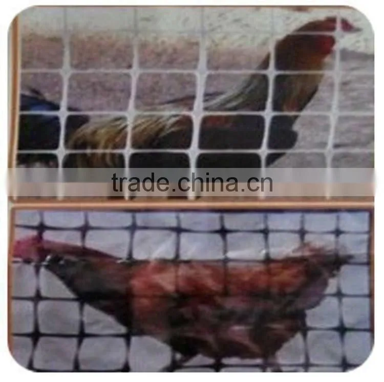 Hot sale UV treated BOP strech net plastic plant climbing nets