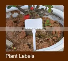 14.5cm Plastic Vegetable Seeder For Garden