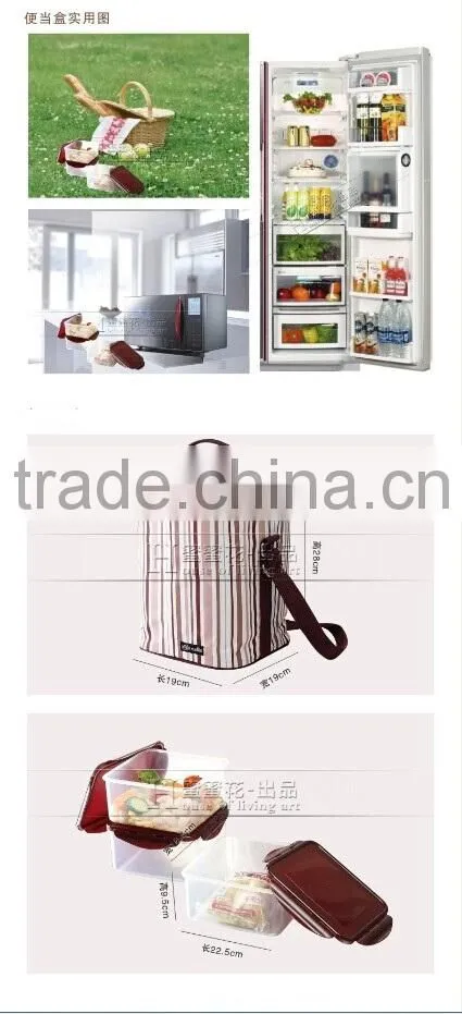 Waterproof Travel Picnic 10.1L Lunch bag Snack Tote Isothermic Cooler Handbag with Lunch Box