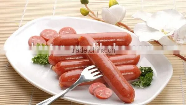 new style Stainless steel 5LB Single Gear Vertical Sausage Stuffer