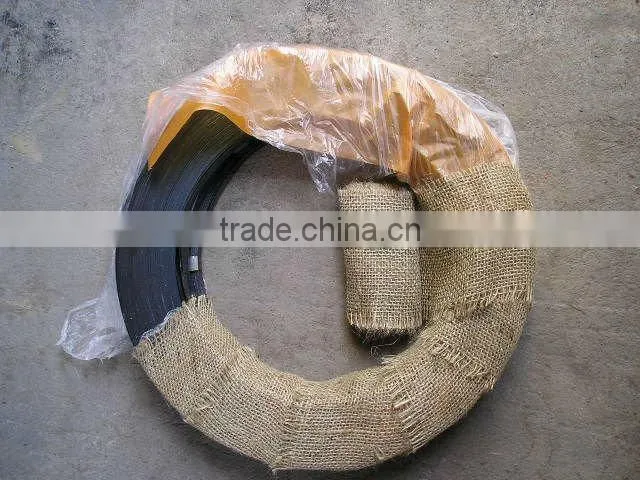 metal strips/thin metal strip