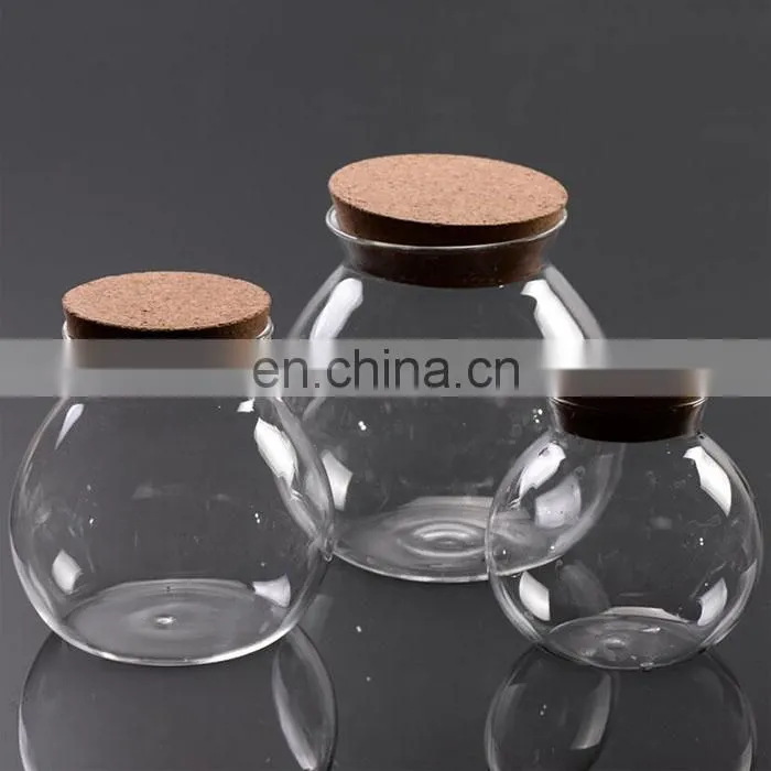 terrarium glass terrarium wooden cover with led clear glass home decoration