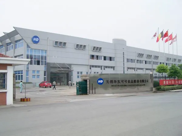 Wuxi Huadong Cocoa Food Co. Ltd company overview - view 2